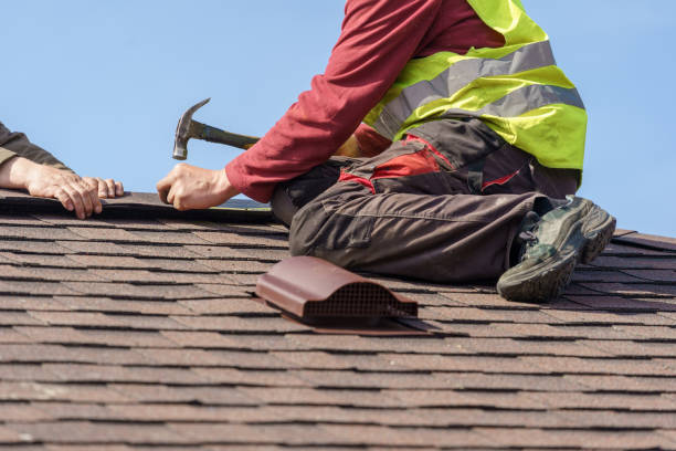 Roof Gutter Cleaning in Madelia, MN