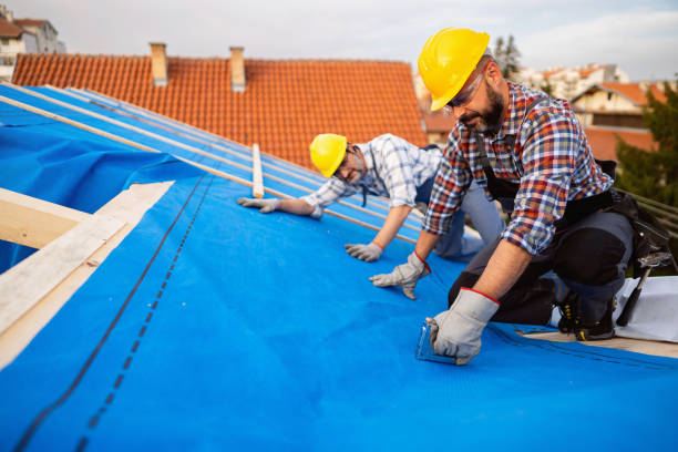 Best Storm Damage Roof Repair  in Madelia, MN